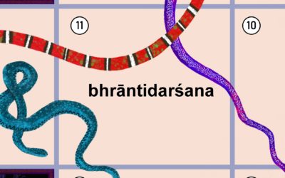 Co to jest bhrāntidarśana?