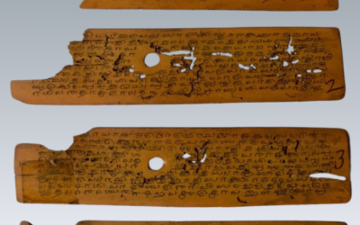 Utrwalone na liściach bananowca