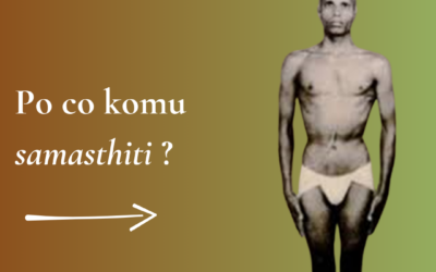 Po co komu samasthiti?