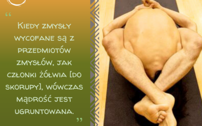 Asana i wewnętrzne skupienie