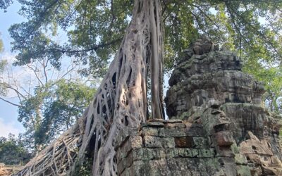 Vairāgya w Kambodży